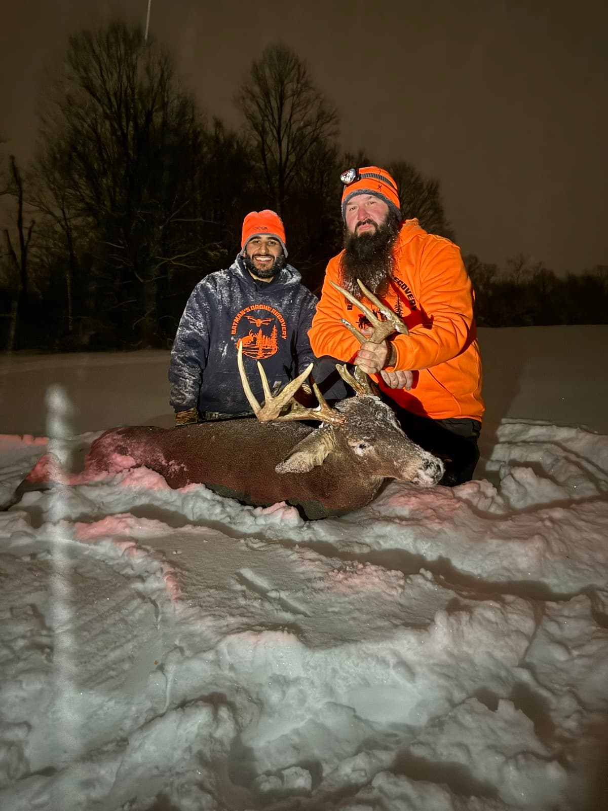 Snow-covered buck recovered on a winter night